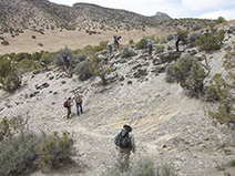 Looking for trilobite fossils in a finely layered, but unbioturbated, section of the Wheeler Formation, east end of Marjum Canyon.