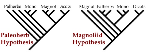 Hypotheses Diagram