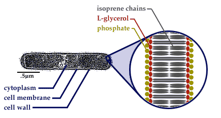 Archaean diagram