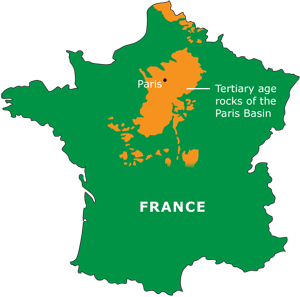 Tertiary age rocks in the Paris Basin