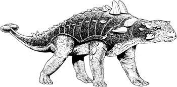 Ankylosaurus reconstruction