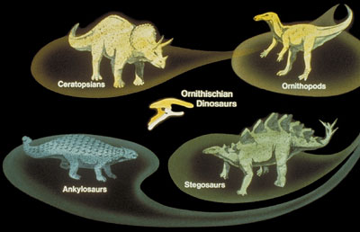 Ornithischian dinosaurs