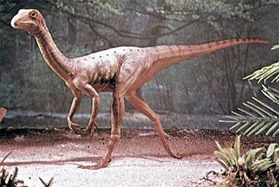 Giant Ostrich-Like Dinosaurs Once Roamed North America, Science