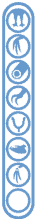 feature bar