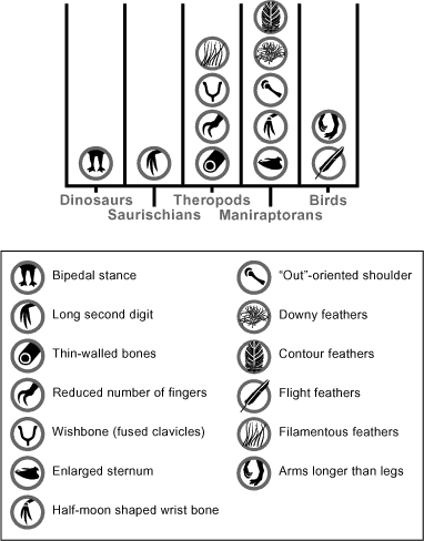 Features Table