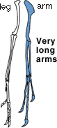 very long arms
