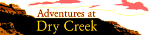 Adventures at Dry Creek