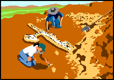 Excavating fossil skeleton