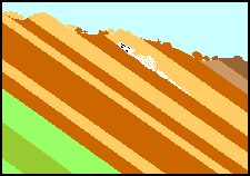 Soon-to-be-exposed fossil skeleton