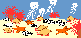 A variety of marine organisms