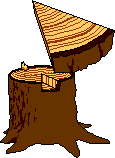 Log cross-section