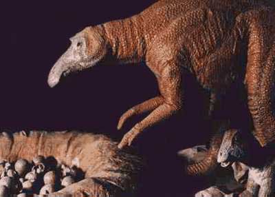 Maiasaura with nest