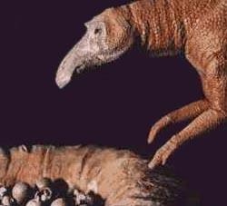 Maiasaura with nest