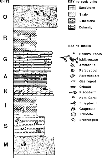 Figure 2B