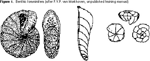 Microfossils