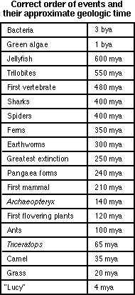 first mammals on earth timeline