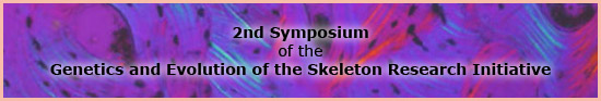 2nd Symposium of the Genetics and Evolution of the Skeleton Research Initiative (Bone section courtesy of Mr. Ron Oldfield, http://www.olympusbioscapes.com/gallery/gallery/static/2004/hm17.html)