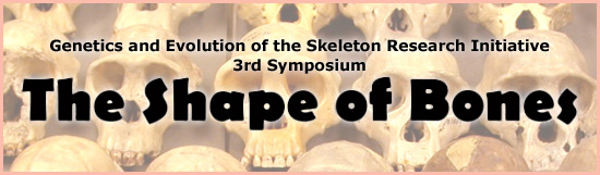 3rd Symposium of the Genetics and Evolution of the Skeleton Research Initiative: The Shape of Bones