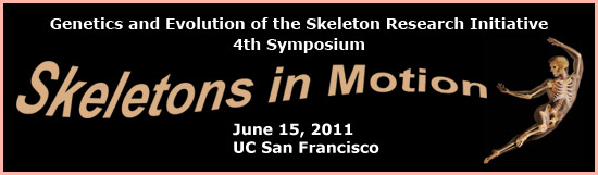 4th Symposium of the Genetics and Evolution of the Skeleton Research Initiative: Skeletons in Motion