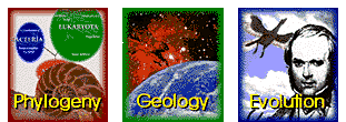 Phylogeny, Geology and Evolution icons