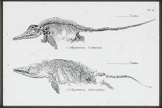 Mary Anning (1799-1847)