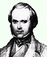 Darwin image