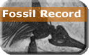 Fossil Record