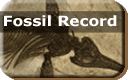 Fossil Record button