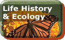 Life  Ecology