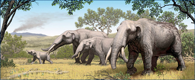 Carl Buell Miocene landscape