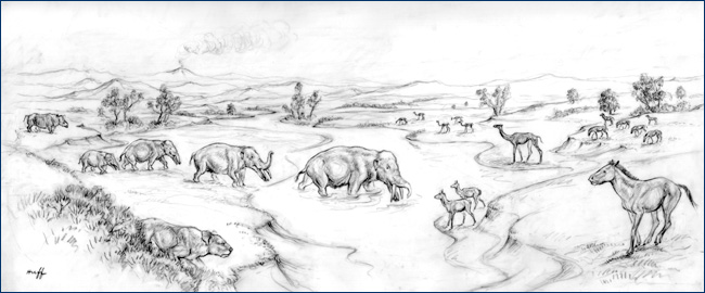 Huff Miocene landscape