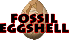 Fossil Eggshell home