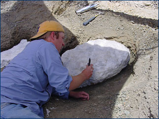 Sterling Nesbitt applies damp toilet paper to the pedestaled fossil
