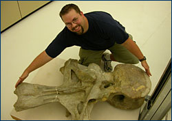 Matt Wedel with an Apatosaurus vertebra