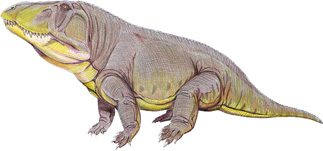 Erythrosuchus