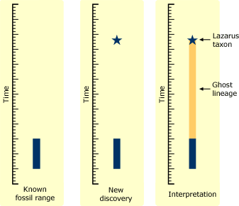 Lazarus taxon