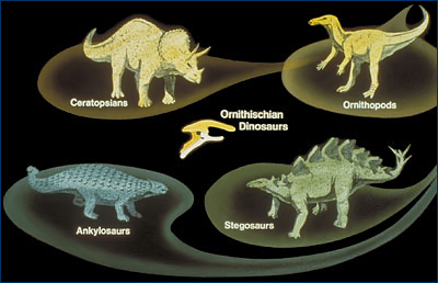 Ornithischian dinosaurs