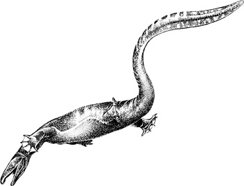 Thalattosaurus reconstruction