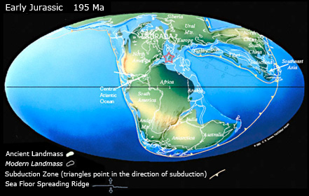 Continental distribution in the Jurassic