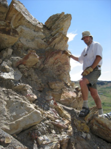 Investigating fossil bird tracks in Colorado