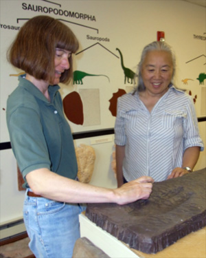 Karen Houck showing a trackway to Kathy Honda