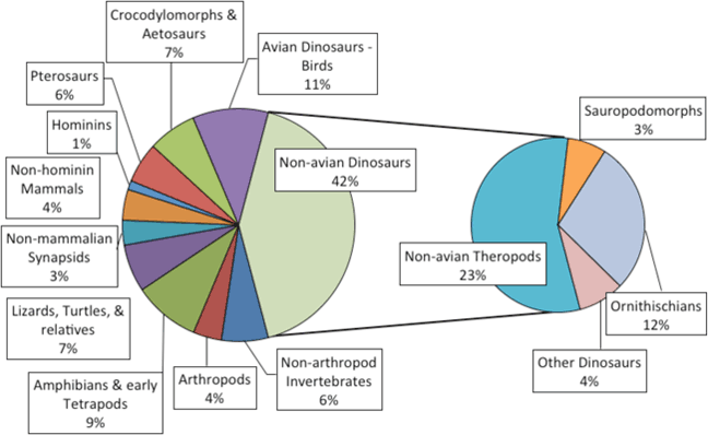 Temporal distribution of the footprint specimens in the University of Colorado Museum of Natural History