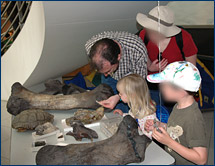 A family examines fossils from the La Brea tar pits and other southern California localities