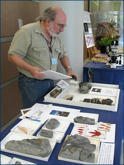 Museum Scientist Ken Finger prepares a display featuring leaves
