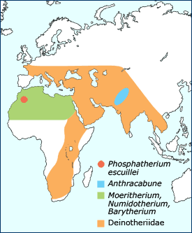 Ancestral proboscidean distribution