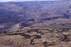 Cultivation along the gorge