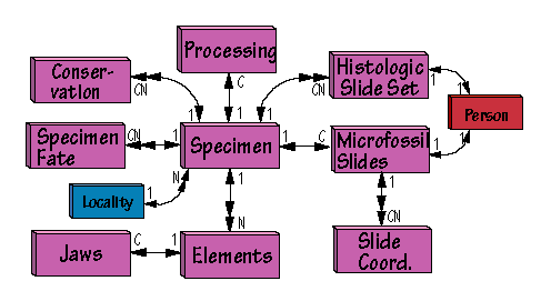Specimen Description Image Map