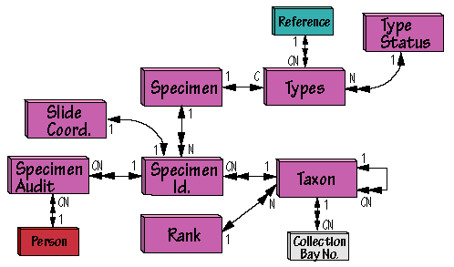 Specimen Identification Image Map
