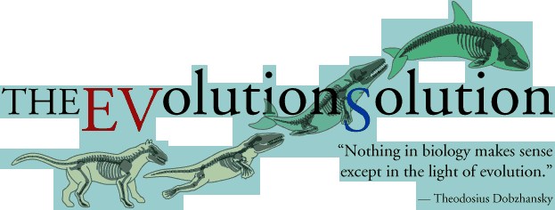 The Evolution Solution