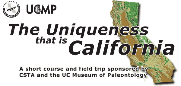 Unique California banner